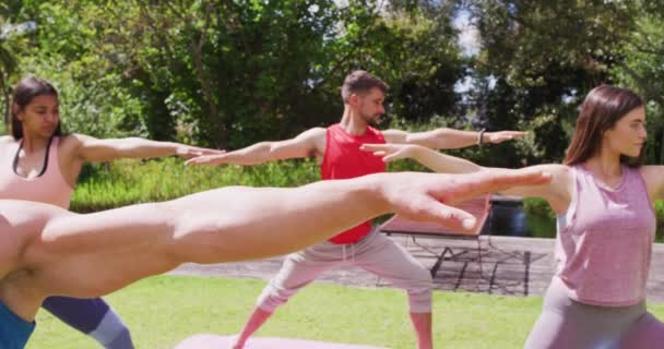 Olika Grupp Utövar Yoga Med Manlig Instruktör Stående Solig Park — Stockvideo