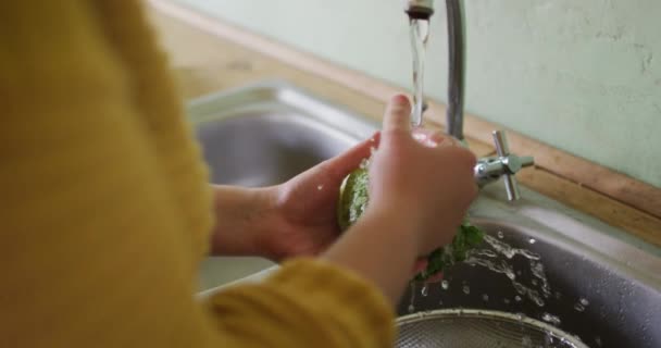 Midsection Femme Caucasienne Laver Les Légumes Dans Cuisine Homesteading Mode — Video