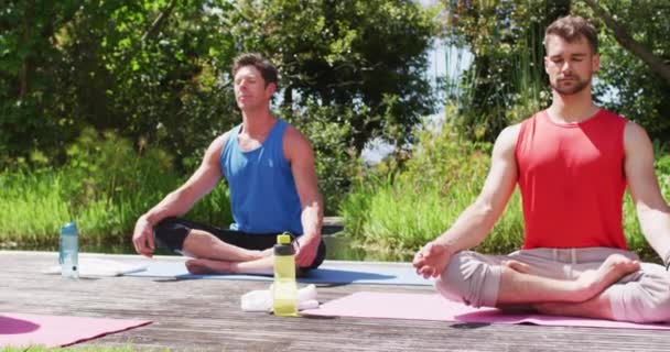 Diverse Männliche Und Weibliche Gruppen Praktizieren Yoga Sitzend Auf Matten — Stockvideo