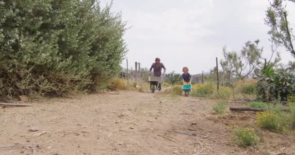 快乐的高加索父亲和儿子推着手推车 农村有机农场的自耕农 健康的生活方式 — 图库视频影像