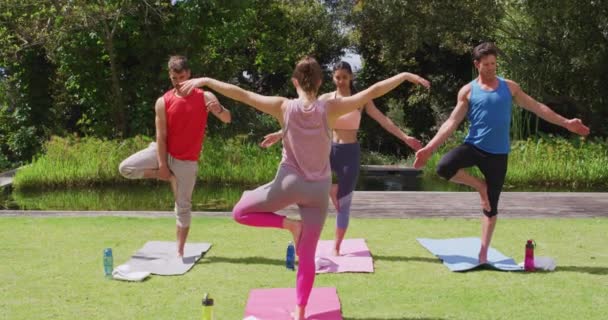 Bakifrån Kaukasiska Kvinnliga Instruktör Utövar Yoga Pose Med Olika Grupp — Stockvideo
