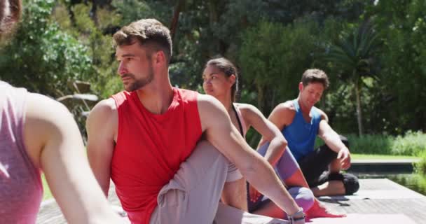 Diverse Mannelijke Vrouwelijke Groep Die Yoga Beoefenen Zitten Zonnig Park — Stockvideo