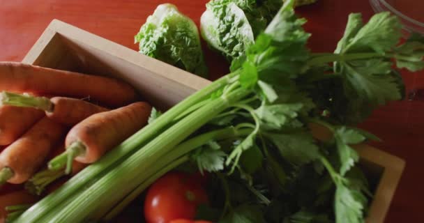 在厨房里用蔬菜把台面关上 农村有机农场的自耕农 健康的生活方式 — 图库视频影像