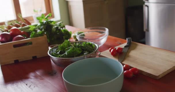 Mutfaktaki Tezgahı Sebzelerle Kapatın Kırsal Kesimdeki Organik Çiftlikte Çiftçilik Sağlıklı — Stok video