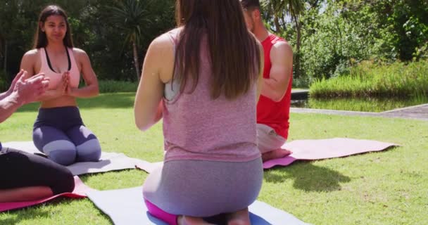 Feliz Grupo Diverso Practicando Yoga Posan Arrodillados Sobre Esteras Soleado — Vídeos de Stock