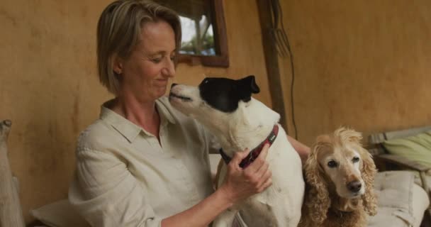Sorrindo Mulher Caucasiana Sênior Brincando Com Seus Dois Cães Casa — Vídeo de Stock