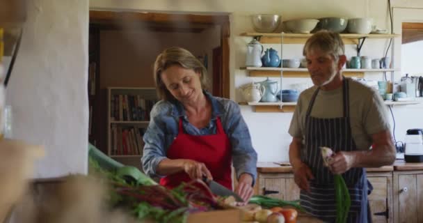 Önlük Giyip Mutfakta Yemek Pişiren Kıdemli Beyaz Bir Çift Emeklilik — Stok video