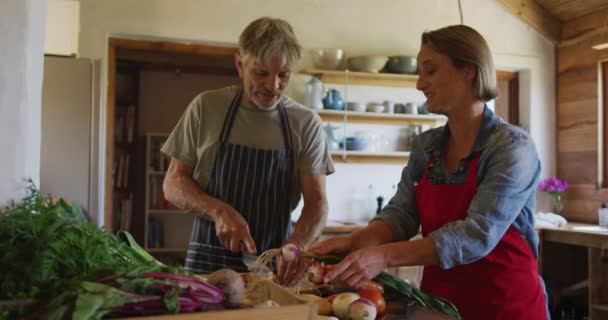 Smilende Senior Kaukasiske Par Iført Forklæder Madlavning Køkkenet Pensionering Lykke – Stock-video