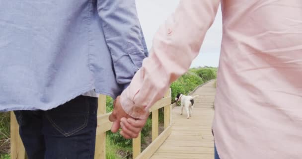 Sonriente Pareja Ancianos Caucásicos Tomados Mano Caminando Camino Aire Libre — Vídeo de stock