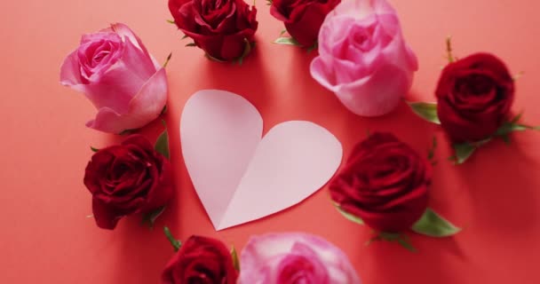 バレンタインデーには 赤い背景をした赤とピンクのバラ バレンタインデー愛とお祝いのコンセプト — ストック動画