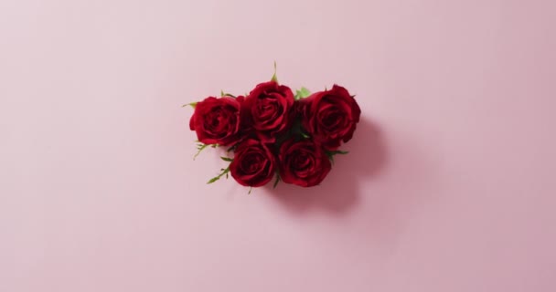 Ramo Rosas Rojas Sobre Fondo Rosa Día San Valentín Día — Vídeo de stock