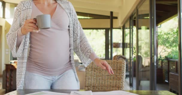 Χαρούμενη Καυκάσια Έγκυος Γυναίκα Φλιτζάνι Τσάι Κάνοντας Βιντεοκλήση Εγκυμοσύνη Έγκυος — Αρχείο Βίντεο
