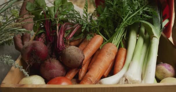 Ανώτερος Καυκάσιος Που Παίρνει Καλάθι Φρέσκα Λαχανικά Στον Κήπο Ενεργό — Αρχείο Βίντεο