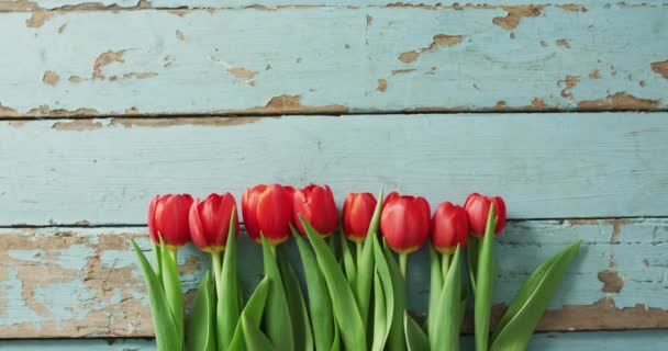 Strauß Roter Tulpen Auf Holzgrund Valentinstag Valentinstag Liebe Und Festkonzept — Stockvideo