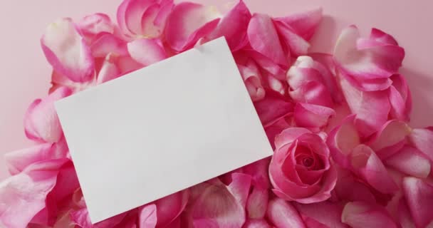 Розовая Роза Лепестками Белой Карточкой Розовом Фоне День Святого Валентина — стоковое видео
