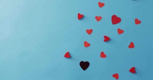 在情人节的蓝色背景上 有许多红黑相间的纸心 情人节 爱与庆祝的概念 — 图库视频影像