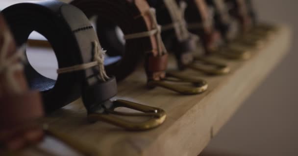 Deri Atölyesinde Sıralanmış Deri Kemerler Giymeye Hazır Bağımsız Küçük Işletme — Stok video