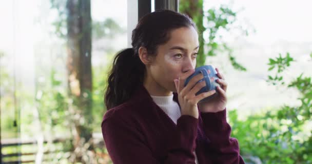 Portrait Relaxed Biracial Woman Drinking Coffee Standing Window Looking Distance — Vídeos de Stock