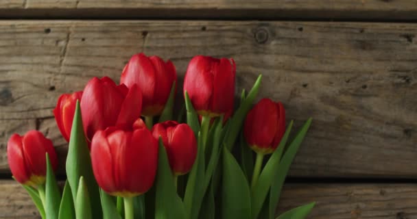 Ramo Tulipanes Rojos Sobre Fondo Madera Día San Valentín Día — Vídeos de Stock