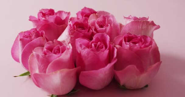 Ramo Rosas Rosadas Sobre Fondo Rosa Día San Valentín Día — Vídeo de stock