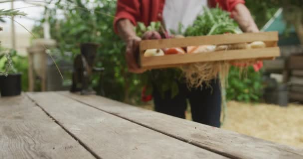 Starší Běloch Kráčí Košíkem Čerstvé Zeleniny Zahradě Aktivní Odchod Důchodu — Stock video