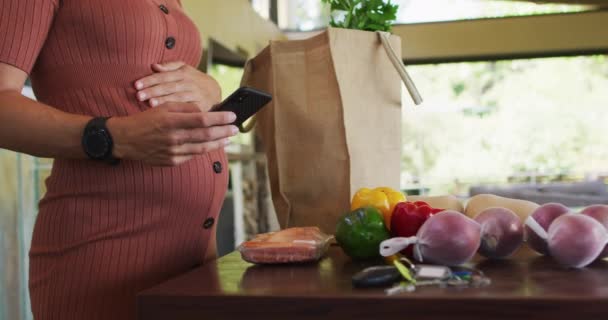 Midsection Happy Caucasian Pregnant Woman Touching Belly Using Smartphone Kitchen — Stock Video