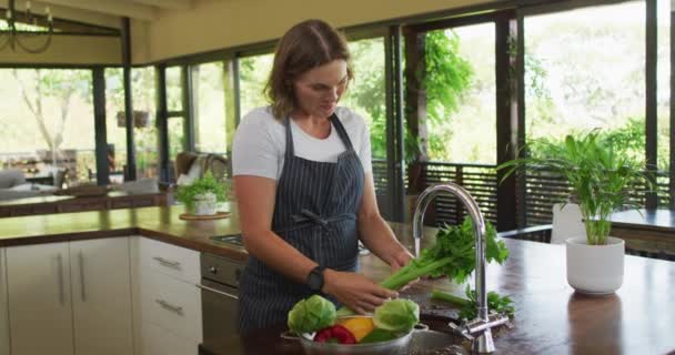 Felice Donna Caucasica Incinta Con Grembiule Lavare Verdure Cucina Aspettarsi — Video Stock
