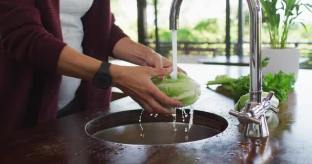 Handen Van Een Blanke Zwangere Vrouw Die Groenten Wast Keuken — Stockvideo