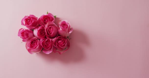 Boeket Van Roze Rozen Roze Achtergrond Valentijnsdag Valentijnsdag Liefde Feest — Stockvideo