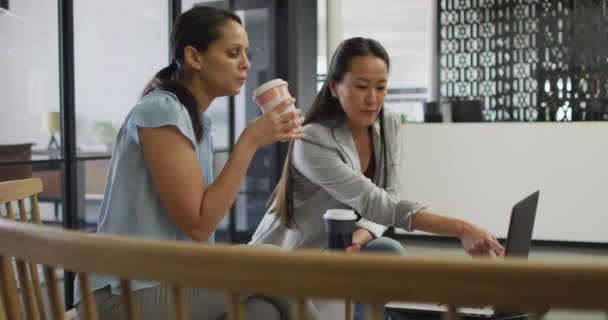 Duas Mulheres Negócios Diversificadas Com Café Trabalhando Laptop Escritório Negócio — Vídeo de Stock