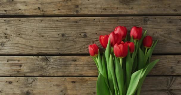 Ramo Tulipanes Rojos Sobre Fondo Madera Día San Valentín Día — Vídeo de stock