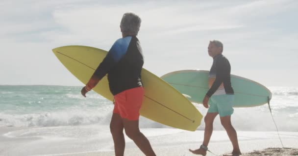 노인들 보드를 해변을 활발하고 건강하고 — 비디오