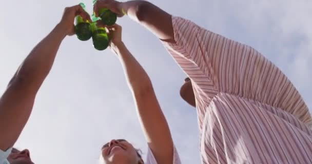 Manos Diversos Amigos Haciendo Tostadas Con Botellas Cerveza Sol Fiesta — Vídeo de stock
