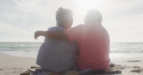 Rückenansicht Eines Glücklichen Hispanischen Seniorenpaares Das Strand Sitzt Und Sich — Stockvideo