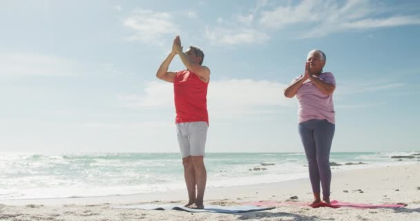 放松他的惊慌失措的老夫妇在海滩上练习瑜伽 健康和积极的退休生活方式 — 图库视频影像