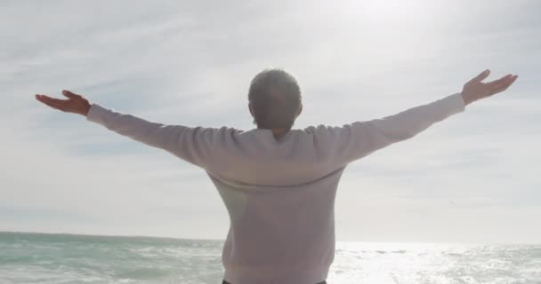 Πίσω Όψη Της Ισπανόφωνης Ηλικιωμένης Γυναίκας Που Στέκεται Στην Παραλία — Αρχείο Βίντεο