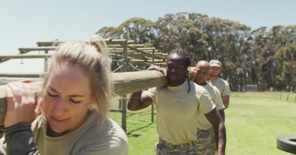 Diverse Fit Group Soldiers Carrying Tree Log Together Sun Army — Stockvideo