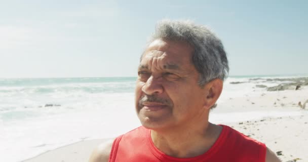 Retrato Hombre Mayor Hispano Parado Playa Sonriendo Estilo Vida Jubilación — Vídeo de stock
