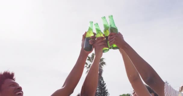在户外派对上 快乐的朋友们在阳光下 用啤酒瓶祝酒 和朋友在家里和花园里玩 — 图库视频影像