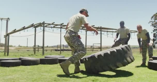 Fit Caucasian Male Soldier Flipping Tractor Tyre Diverse Group Army — Vídeo de stock