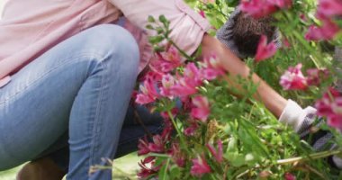 Çift ırklı kadın bahçıvanlığı, çiçek dikme. Bahçıvanlık, bahçıvanlık ve bahçe işleri..