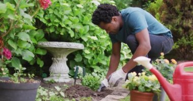 Mutlu melez adam bahçıvanlığı, çiçek dikme. Bahçıvanlık, bahçıvanlık ve bahçe işleri..