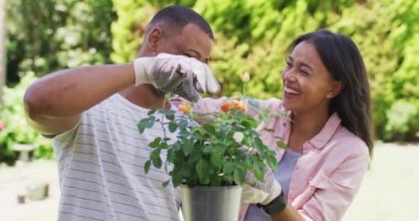 Mutlu çiftler bahçıvanlığı, elinde çiçeklerle saksıyı tutarak kameraya gülüyorlar. Bahçıvanlık, bahçıvanlık ve bahçe işleri..