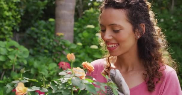 Portret Szczęśliwej Dwurasowej Kobiety Pachnącej Różami Ogrodzie Ogrodnictwo Ogrodnictwo Spędzanie — Wideo stockowe