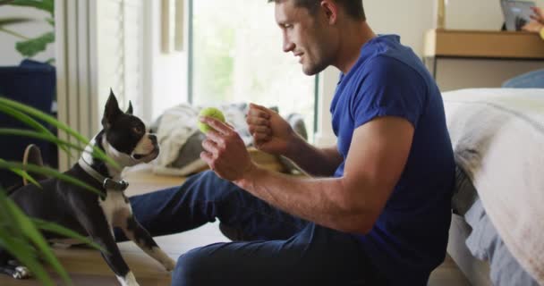 Pria Kaukasia Sedang Bermain Dengan Anjingnya Rumah Menikmati Waktu Luang — Stok Video