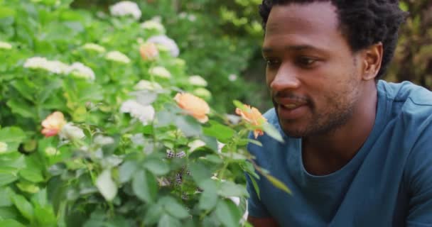 Портрет Счастливого Расового Человека Садоводства Заботящегося Розах Садоводство Садоводство Проведение — стоковое видео