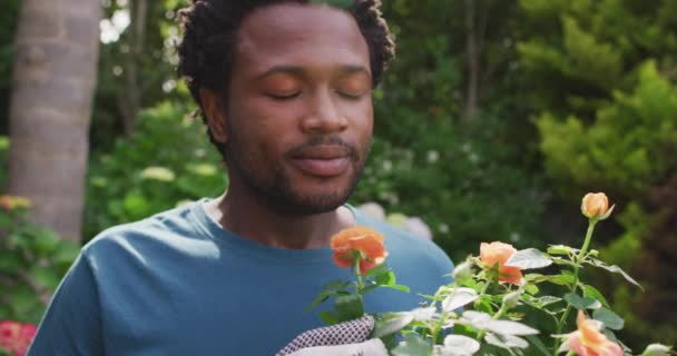 Portret Szczęśliwego Dwurasowego Mężczyzny Pachnącego Różami Ogrodzie Ogrodnictwo Ogrodnictwo Spędzanie — Wideo stockowe