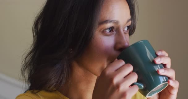 Perfil Mujer Birracial Relajada Bebiendo Café Mirando Por Ventana Exterior — Vídeo de stock
