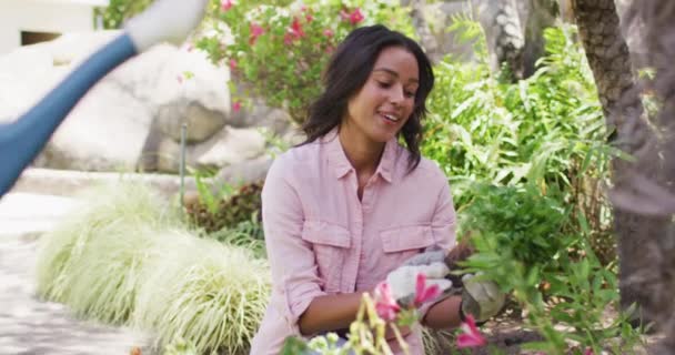 Glad Biracial Kvinna Trädgårdsskötsel Plantera Blommor Medan Hennes Partner Vattna — Stockvideo
