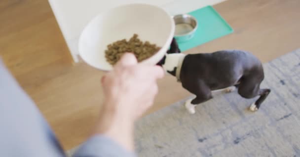 白人在家里训练和喂狗 在家中享受优质的闲暇时间 — 图库视频影像